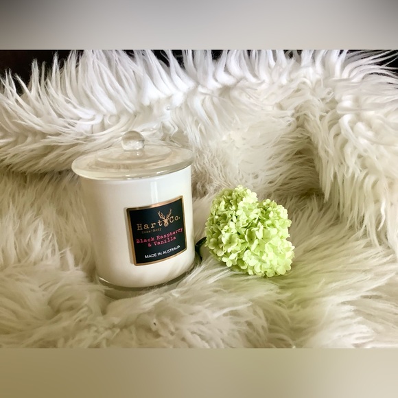 Hart & Co. Triple Scented Coco Soy Candle - Picture 3 of 6